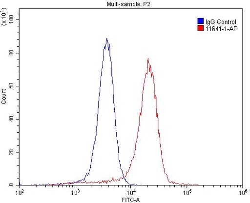 [11641-1-AP-20UL] GNAI3 Polyclonal antibody