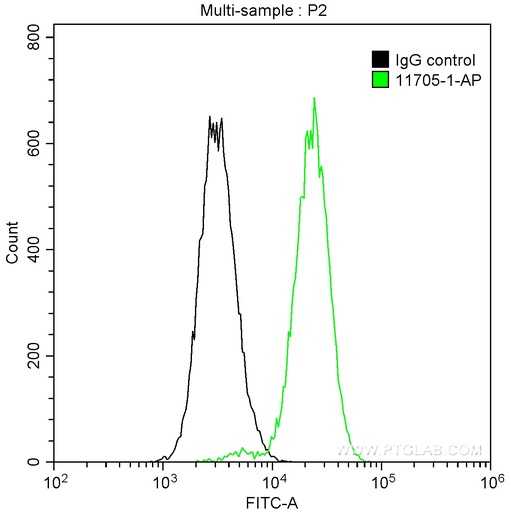 [11705-1-AP-150UL] CDK9 Polyclonal antibody