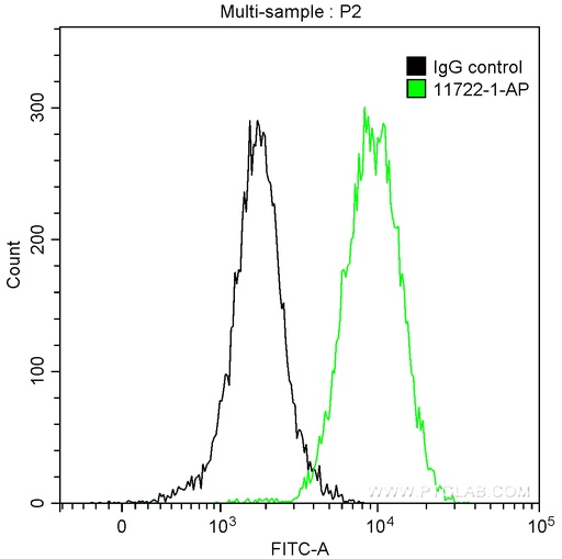 [11722-1-AP-150UL] Maspin Polyclonal antibody