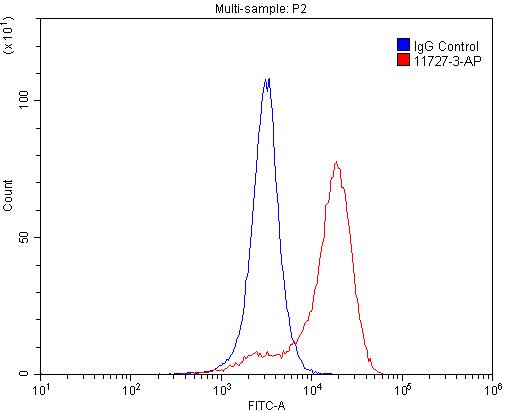 [11727-3-AP-150UL] IFITM1 Polyclonal antibody