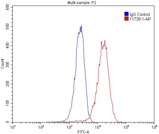 [11739-1-AP-20UL] ASGR1 Polyclonal antibody