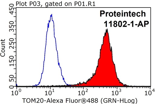 [11802-1-AP-20UL] TOM20 Polyclonal antibody