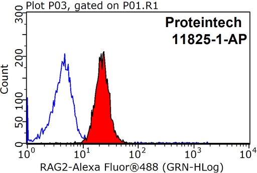 [11825-1-AP-150UL] RAG2 Polyclonal antibody