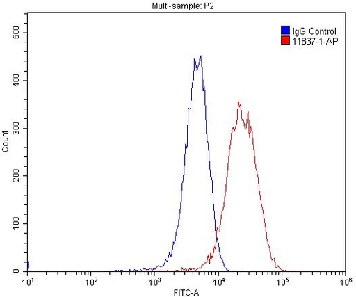 [11837-1-AP-150UL] OLR1 Polyclonal antibody