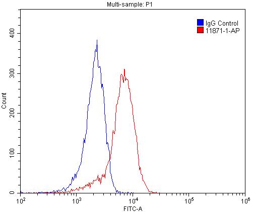 [11871-1-AP-20UL] SH2D1B Polyclonal antibody