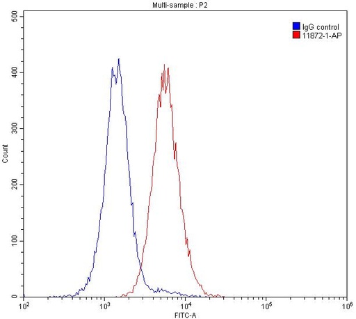 [11872-1-AP-150UL] TIM3 Polyclonal antibody