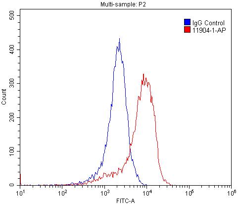 [11904-1-AP-20UL] RGR Polyclonal antibody