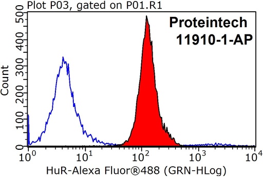 [11910-1-AP-20UL] HuR Polyclonal antibody