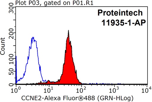 [11935-1-AP-150UL] Cyclin E2 Polyclonal antibody