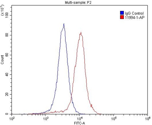 [11994-1-AP-150UL] Glutamate receptor 2 Polyclonal antibody