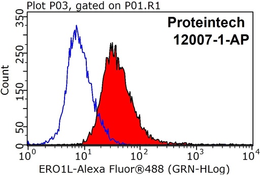 [12007-1-AP-150UL] ERO1L Polyclonal antibody