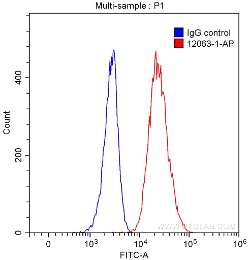 [12063-1-AP-150UL] KRAS Polyclonal antibody