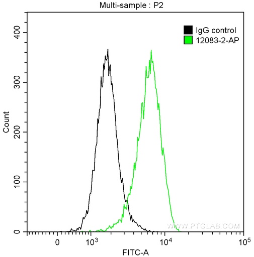 [12083-2-AP-20UL] CD164 Polyclonal antibody