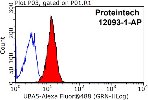 [12093-1-AP-150UL] UBA5 Polyclonal antibody