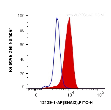 [12129-1-AP-20UL] SNAI2 Polyclonal antibody