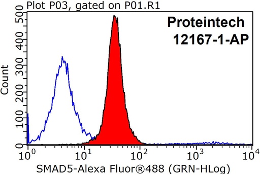 [12167-1-AP-150UL] SMAD5 Polyclonal antibody