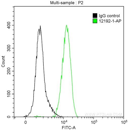 [12192-1-AP-20UL] Alpha Antichymotrypsin Polyclonal antibody