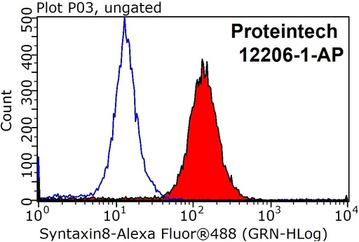 [12206-1-AP-20UL] Syntaxin 8 Polyclonal antibody