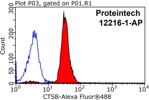 [12216-1-AP-20UL] Cathepsin B Polyclonal antibody