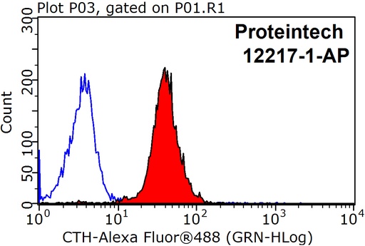 [12217-1-AP-150UL] Gamma Cystathionase Polyclonal antibody