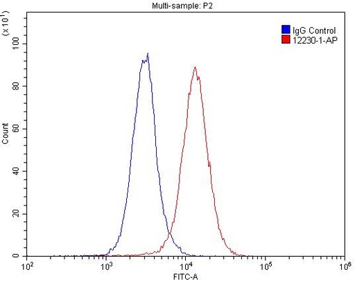 [12230-2-AP-150UL] RBBP9 Polyclonal antibody