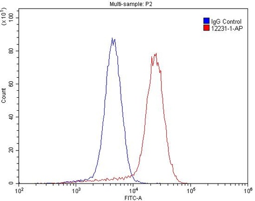 [12231-1-AP-20UL] NT5E/CD73 Polyclonal antibody