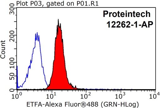 [12262-1-AP-150UL] ETFA Polyclonal antibody