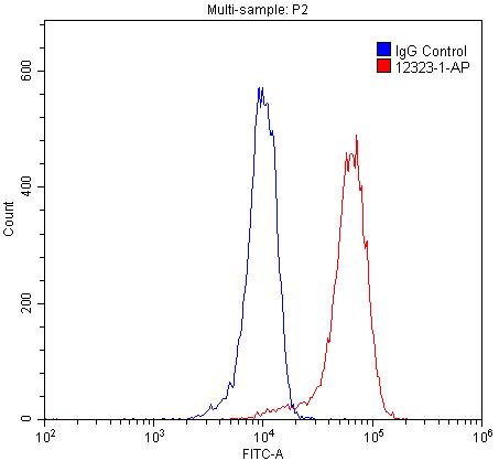 [12323-1-AP-150UL] PAX6 Polyclonal antibody