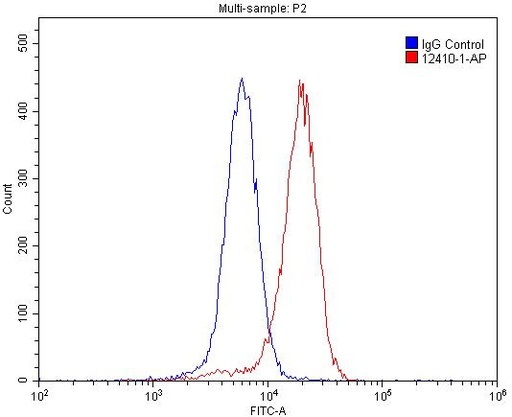 [12410-1-AP-150UL] GABRA1 Polyclonal antibody