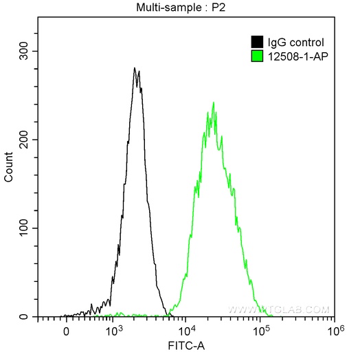 [12508-1-AP-20UL] MAGEA4 Polyclonal antibody