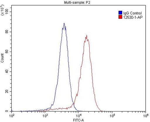 [12530-1-AP-150UL] RRAS2 Polyclonal antibody