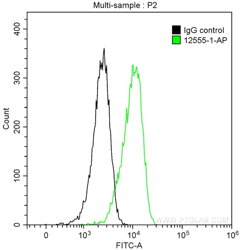 [12555-1-AP-150UL] PrP Polyclonal antibody