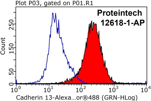 [12618-1-AP-20UL] Cadherin-13 Polyclonal antibody