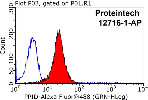 [12716-1-AP-20UL] PPID Polyclonal antibody