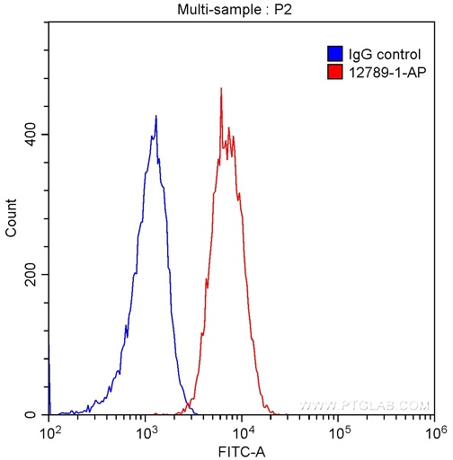 [12789-1-AP-150UL] BCL2 Polyclonal antibody