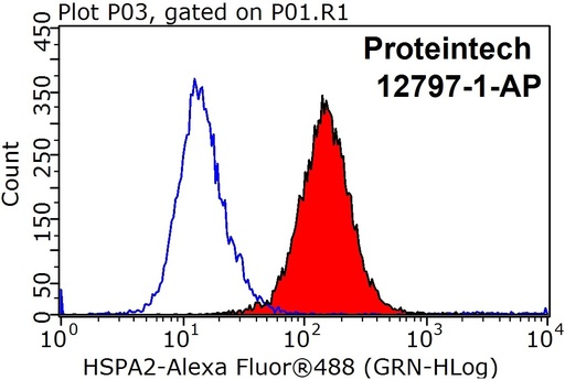 [12797-1-AP-150UL] HSPA2 Polyclonal antibody