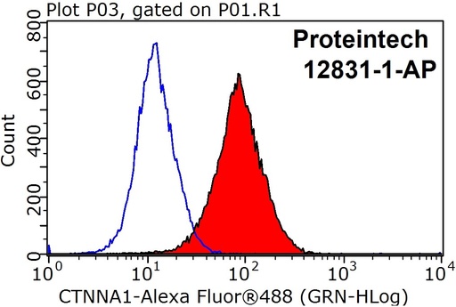 [12831-1-AP-150UL] Alpha E-Catenin Polyclonal antibody