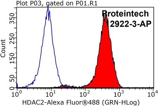 [12922-3-AP-150UL] HDAC2 Polyclonal antibody