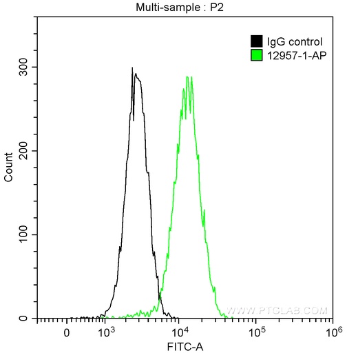 [12957-1-AP-20UL] DRP1 (C-terminal) Polyclonal antibody
