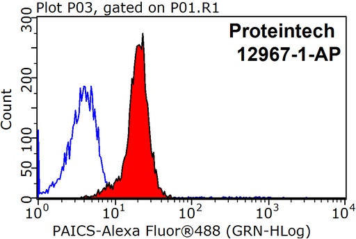 [12967-1-AP-20UL] PAICS Polyclonal antibody