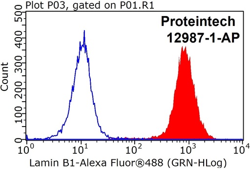 [12987-1-AP-150UL] Lamin B1 Polyclonal antibody
