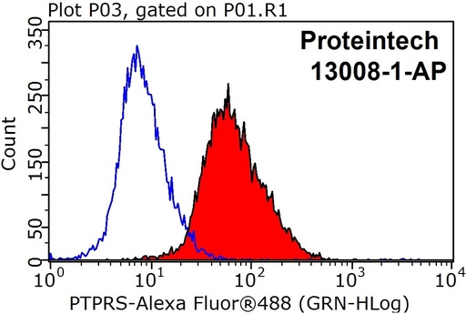 [13008-1-AP-20UL] PTPRS Polyclonal antibody