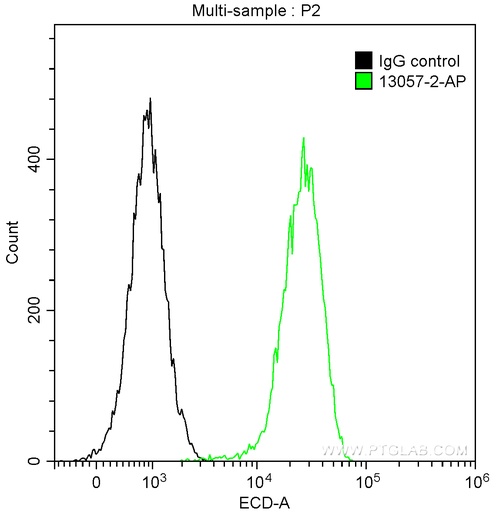 [13057-2-AP-150UL] G3BP1 Polyclonal antibody