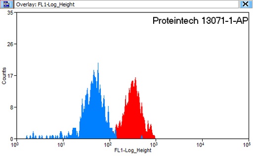[13071-1-AP-20UL] CD97 Polyclonal antibody