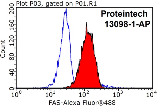[13098-1-AP-150UL] FAS/CD95 Polyclonal antibody
