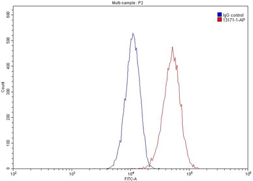 [13171-1-AP-150UL] HSP90 Polyclonal antibody