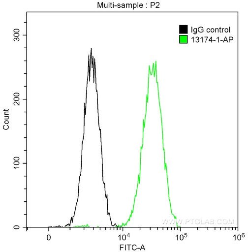 [13174-1-AP-150UL] DNAJB1 Polyclonal antibody