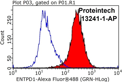 [13241-1-AP-150UL] CYP1A1 Polyclonal antibody