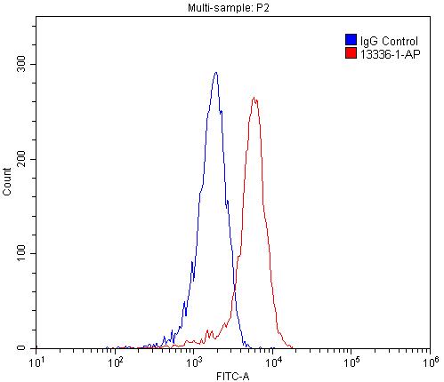 [13336-1-AP-20UL] LENG8 Polyclonal antibody