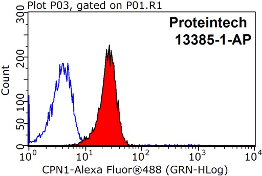 [13385-1-AP-20UL] CPN1 Polyclonal antibody